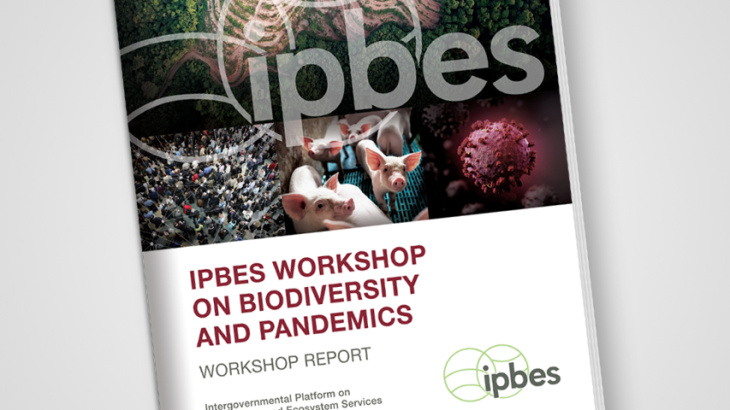 Titelfoto IPBES Pandemics Report. Die vier Abbildungen auf der Broschüre zeigen eine Landschaft, eine Menschenansammlung, mehrere Ferkel und ein Symboldbild eines Virus.